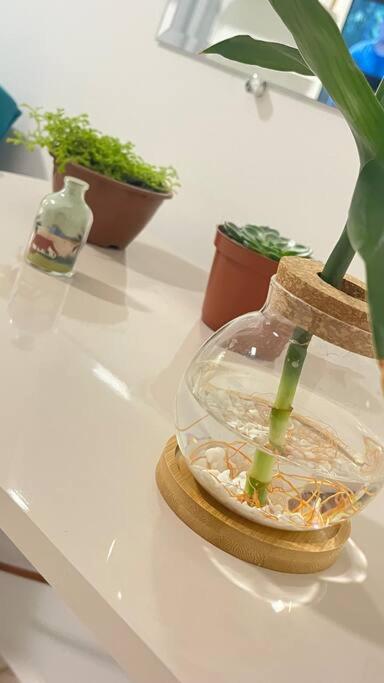 Apartamento No Andar Terreo 伊瓜苏 外观 照片
