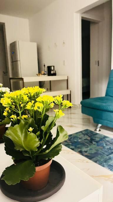 Apartamento No Andar Terreo 伊瓜苏 外观 照片